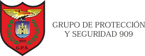 Grupo de Protección y Seguridad 909